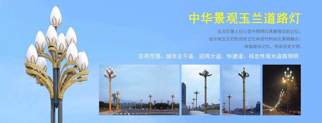 中華燈\景觀玉蘭燈\道路蝴蝶视频免费下载观看